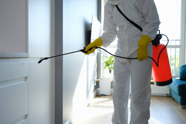 Best Pest Prevention Services  in Honsville, GA